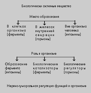 Гормоны ферменты таблица. Ферменты гормоны витамины таблица. Гормоны витамины и ферменты отличия. Функции гормонов и ферментов. Сходства и различия гормонов витаминов и ферментов.