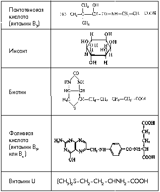 Таблица 5. Химические формулы витаминов