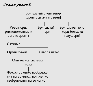 Схема урока 5