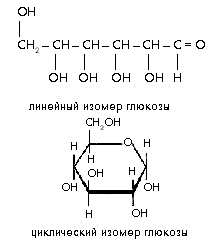 Линейная формула глюкозы