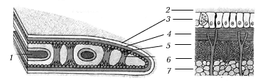 Рис. 4