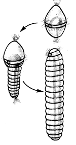 Рис. 12