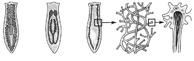 Рис. 16