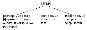 Классификация белков по их растворимости