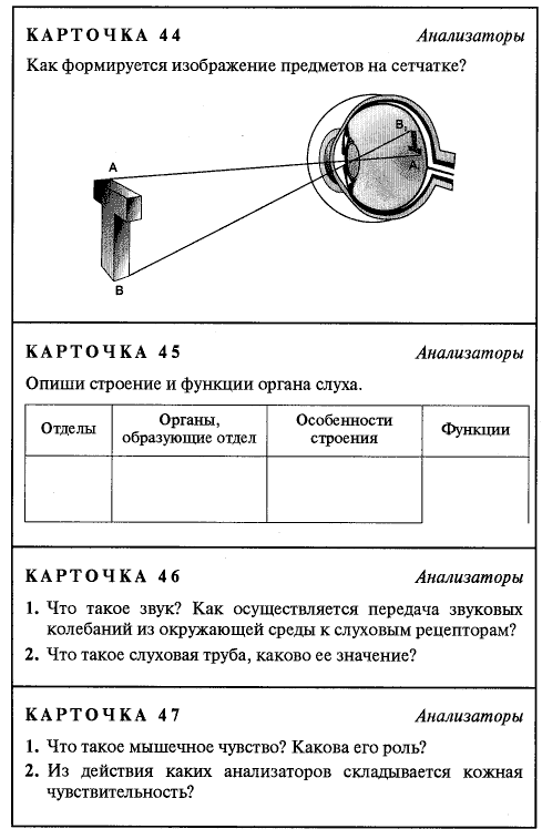 Проверочная работа анализаторы 8 класс биология. Дидактические карточки по биологии Сапин Сонин 8 класс. Дидактические карточки-задания биология. Карточка по теме анализаторы. Карточки по биологии 8 класс.