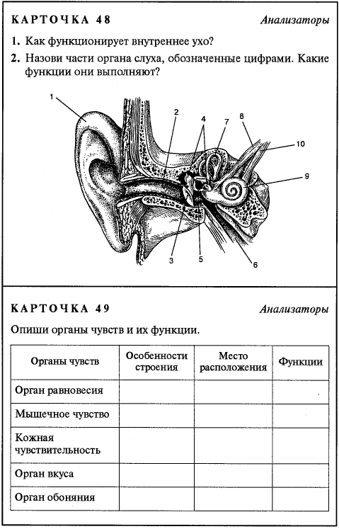 Отметь характеристики части органа слуха обозначенной на рисунке 4 улитка