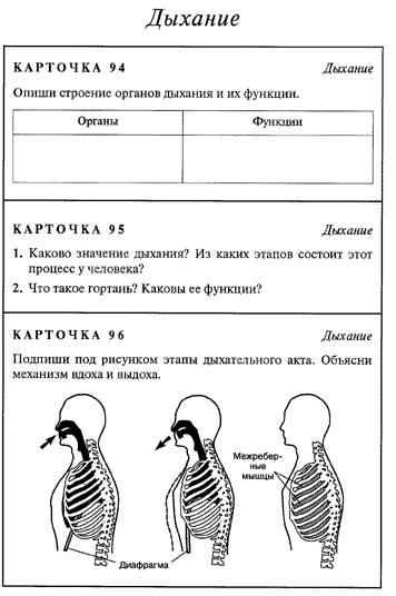 План открытого урока по биологии 8 класс