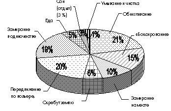 Рис. 1. Бюджет времени персидских песчанок