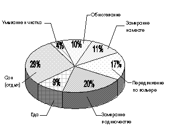 Рис. 2. Бюджет времени дегу