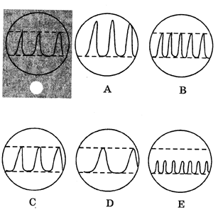 33.gif (13933 bytes)