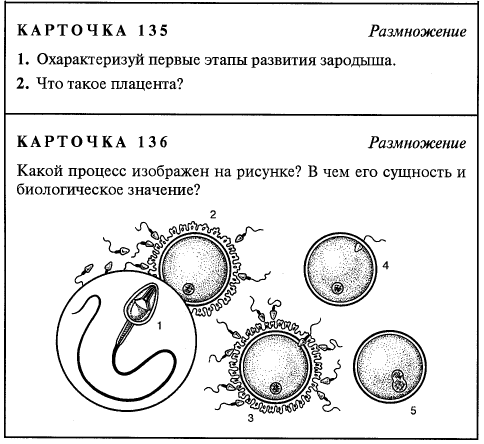 Карточки по биологии. Дидактические карточки по биологии 8 класс. Карточки задания по биологии. Дидактические карточки задания биология. Карточки задания по биологии 8 класс.