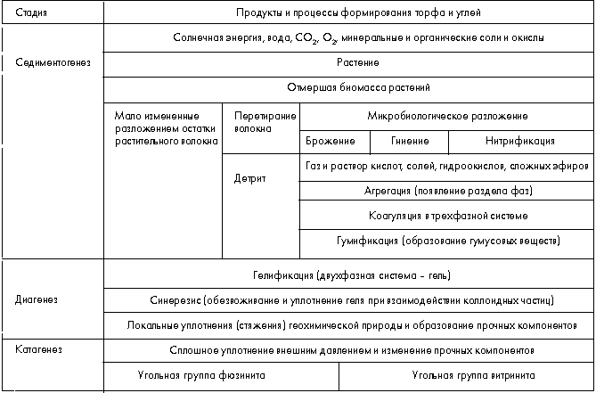 Таблица 1.  Идеальная схема формирования современного торфа