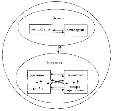 Рис. 1. Схема экосистемы