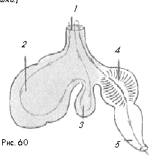 Рис. 60