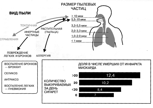 Схема. Влияние атмосферных загрязнений на человека