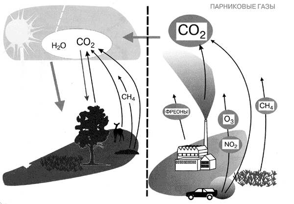 Схема. Парниковый эффект