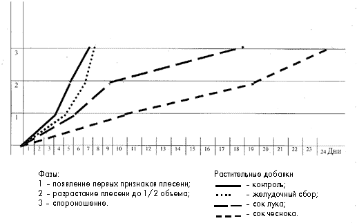 Динамика развития плесневых грибов на субстратах с различными растительными добавками