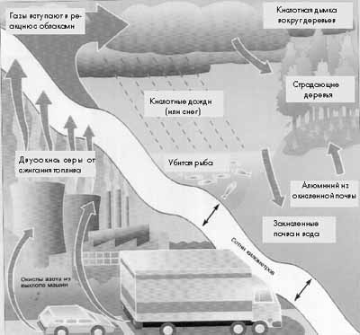 Схема. Кислотные дожди