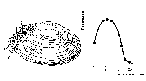 Рис. 1.