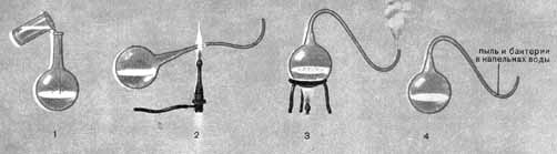 Эксперимент Пастера с колбами с изогнутыми горлышками. Цифрами обозначена последовательность постановки опыта