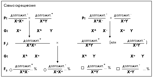 Скрещивание сортов