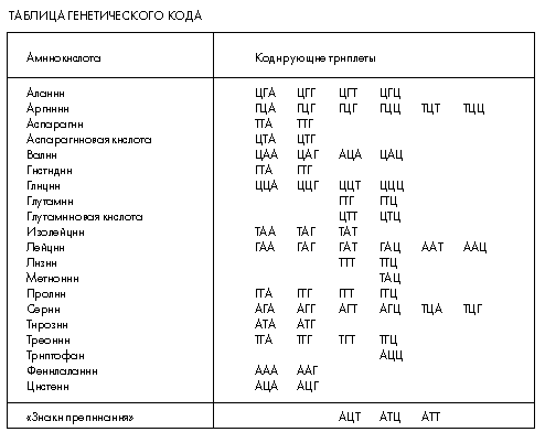 Молекулярная масса аминокислоты. Молекулярные массы аминокислот таблица. Средняя молекулярная масса аминокислоты. Таблица молекулярных масс иминокислот. Молярные массы аминокислот.