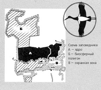 Окский заповедник рязань карта