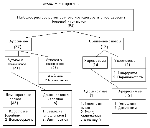 Схема-путеводитель