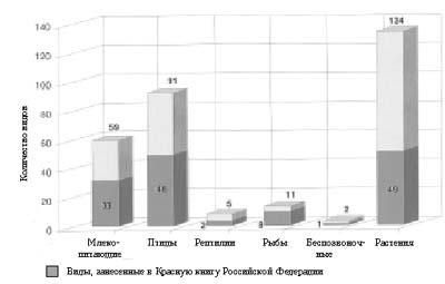 Рис. 6.  Представители российской фауны и флоры, включенные в Приложения СИТЕС