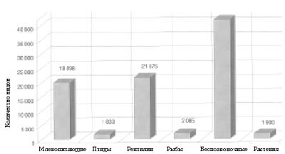 Рис. 1. Объемы вывоза объектов СИТЕС в 2001 г. (по количеству особей)
