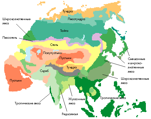 Карта климата азии