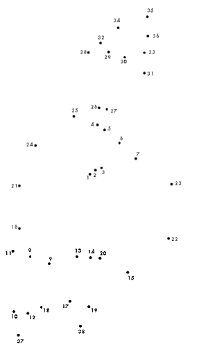 Рис.23 А. Точечный рисунок к заданию 23