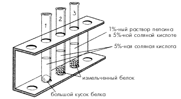 Рис. 9.