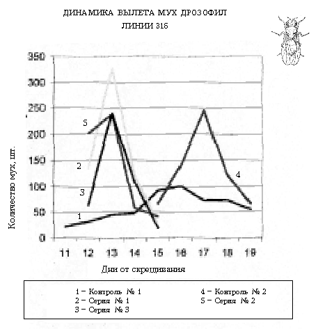 Динамика вылета мух дрозофил