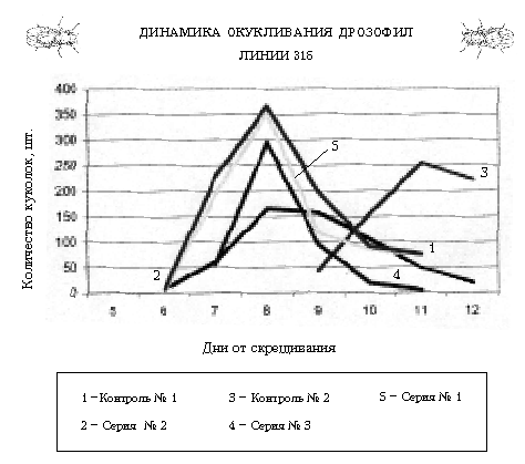 Динамика окукливания дрозофил