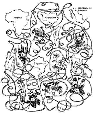 Рис. 2. Лабиринт «Комнатные растения»