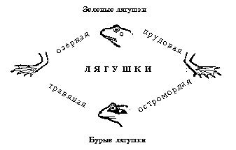 Рис. 11. Лягушки