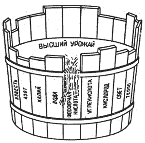 Иллюстрация закона Либиха