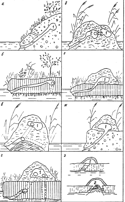 Схема основных типов убежищ ондатры