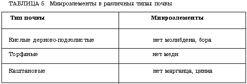 таблица 5