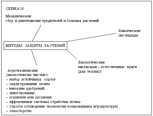 Конкурс для молодых ученых, приуроченный к 300-летию Российской академии наук