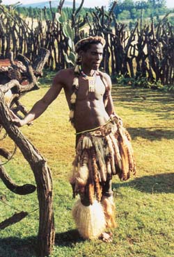 Зулус в ритуальной одежде