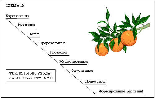 Схема 19