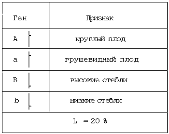 Таблица «Ген – признак»