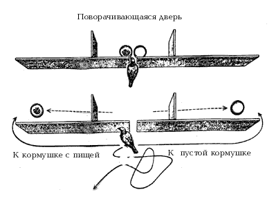 Рис.10. Схема теста на экстраполяцию («опыт с ширмой»)