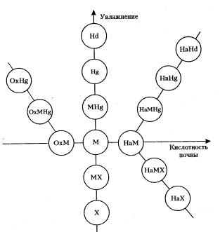 Рис. 3. Схема классификации экоморф растений (по Б.А. Быкову, 1973, с изменениями). Обозначения в тексте