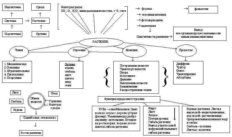 Составление схемы контроля в менеджменте - 83 фото