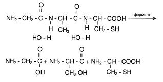 Рис. 6