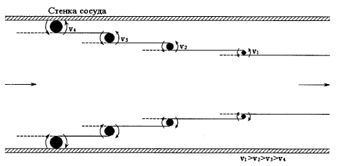 Рис. 2. Схема поступательного и вращательного движения радиально-кольцевых систем эритроцитов в кровотоке