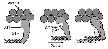 Рис. 3